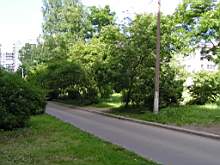 outview3.jpg